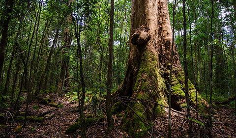 Rocky Crossing Walk - Kingaroy Accommodation 1