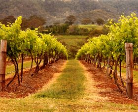 Hunter Valley Wine School - Kingaroy Accommodation 1