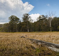 Mummel Gulf National Park - Kingaroy Accommodation