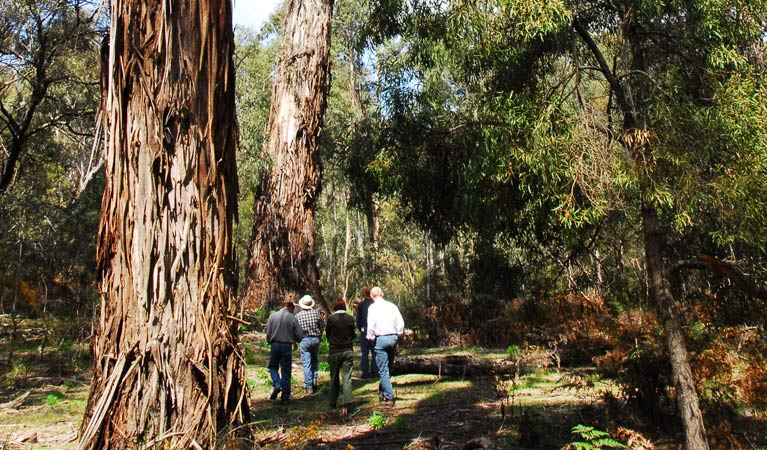 Wyanbene NSW Kingaroy Accommodation