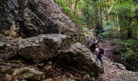 Woko National Park - Kingaroy Accommodation 2