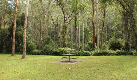 Mill Creek Picnic Area - Kingaroy Accommodation 1