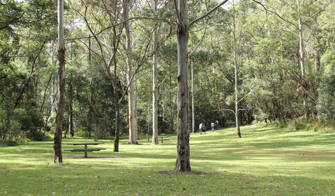 Mill Creek Picnic Area - Kingaroy Accommodation 3