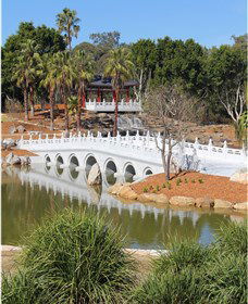 Chang Lai Yuan Chinese Gardens - Kingaroy Accommodation 1