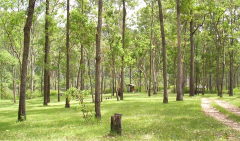 Nymboida National Park - Kingaroy Accommodation 2