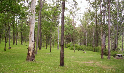 Nymboida National Park - Kingaroy Accommodation 3