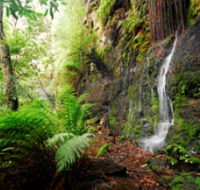 Fairy Bower Falls - Kingaroy Accommodation