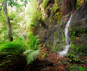 Fairy Bower Falls - Kingaroy Accommodation 0
