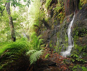 Fairy Bower Falls - Kingaroy Accommodation 2
