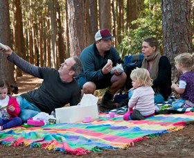 State Forests Of The Watagan Mountains - Kingaroy Accommodation 0
