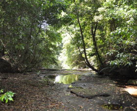 State Forests Of The Watagan Mountains - Kingaroy Accommodation 1
