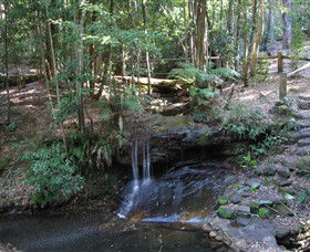State Forests Of The Watagan Mountains - Kingaroy Accommodation 3