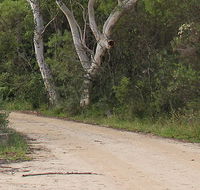 Riverview walking track - Kingaroy Accommodation