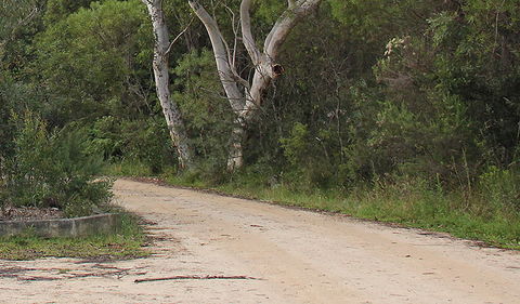 Riverview Walking Track - Kingaroy Accommodation 0