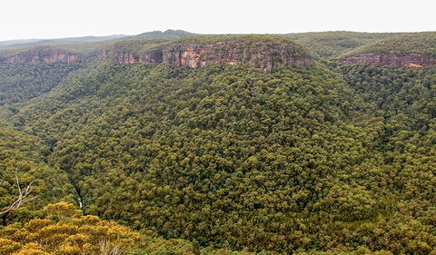 Riverview Walking Track - Kingaroy Accommodation 3