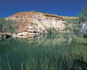 Ellendale Pool - Kingaroy Accommodation 0