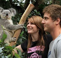 Featherdale Wildlife Park - Kingaroy Accommodation