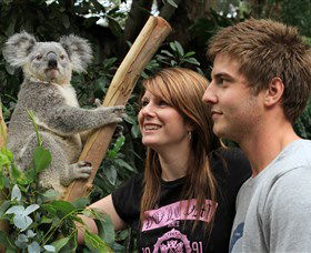 Featherdale Wildlife Park - Kingaroy Accommodation 0