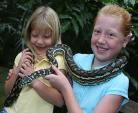 Featherdale Wildlife Park - Kingaroy Accommodation 2