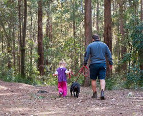 Kulnura NSW Kingaroy Accommodation