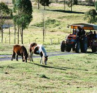Calmsley Hill City Farm - Kingaroy Accommodation