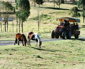 Calmsley Hill City Farm - Kingaroy Accommodation 0