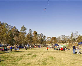 Lizard Log - Kingaroy Accommodation 1