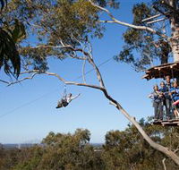 TreeTop Safari - Kingaroy Accommodation