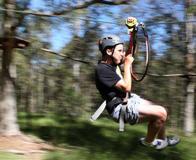 TreeTop Adventure Park Sydney - Kingaroy Accommodation 0