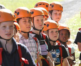 TreeTop Adventure Park Sydney - Kingaroy Accommodation 2