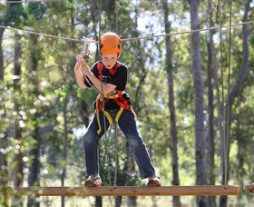 TreeTop Adventure Park Sydney - Kingaroy Accommodation 1