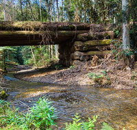 Myrtle Scrub scenic drive - Kingaroy Accommodation
