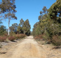 Werakata National Park - Kingaroy Accommodation