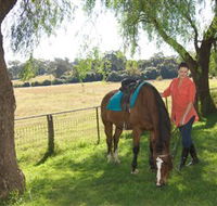 Sugarloaf Horse Centre - Kingaroy Accommodation