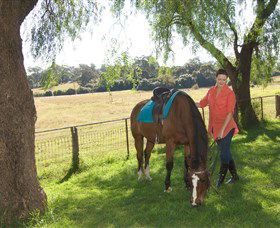 Sugarloaf Horse Centre - Kingaroy Accommodation 0