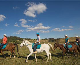 Sugarloaf Horse Centre - Kingaroy Accommodation 1