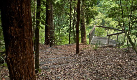 Jerusalem Creek Trail - Kingaroy Accommodation 3