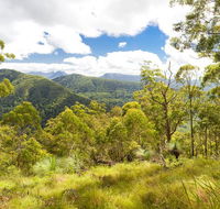 Toonumbar National Park - Kingaroy Accommodation
