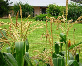Experiment Farm Cottage - Kingaroy Accommodation 4