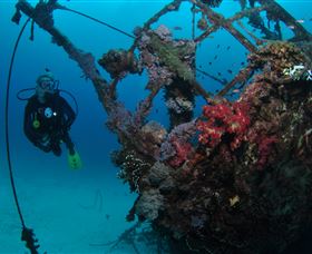 Severance Shipwreck Dive Site - Kingaroy Accommodation 0