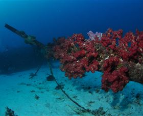 Severance Shipwreck Dive Site - Kingaroy Accommodation 2