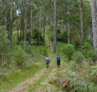 The Green Gully track - Kingaroy Accommodation