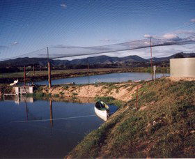 Trudgalong Farm - Kingaroy Accommodation 1