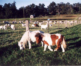 Trudgalong Farm - Kingaroy Accommodation 0