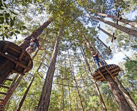 TreeTop Adventure Park Central Coast - Kingaroy Accommodation 0