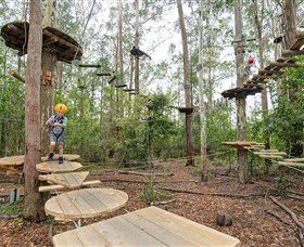 TreeTop Adventure Park Central Coast - Kingaroy Accommodation 1