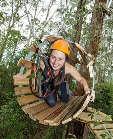 TreeTop Adventure Park Central Coast - Kingaroy Accommodation 3