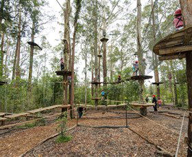 TreeTop Adventure Park Central Coast - Kingaroy Accommodation 5