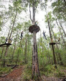 TreeTop Adventure Park Central Coast - Kingaroy Accommodation 4