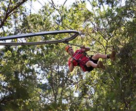 TreeTops Crazy Rider - Kingaroy Accommodation 1